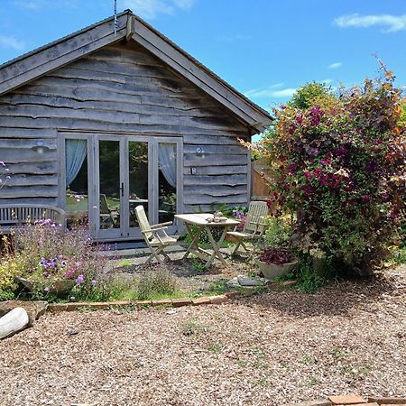 Three Oaks Nursery Chichester Exterior foto