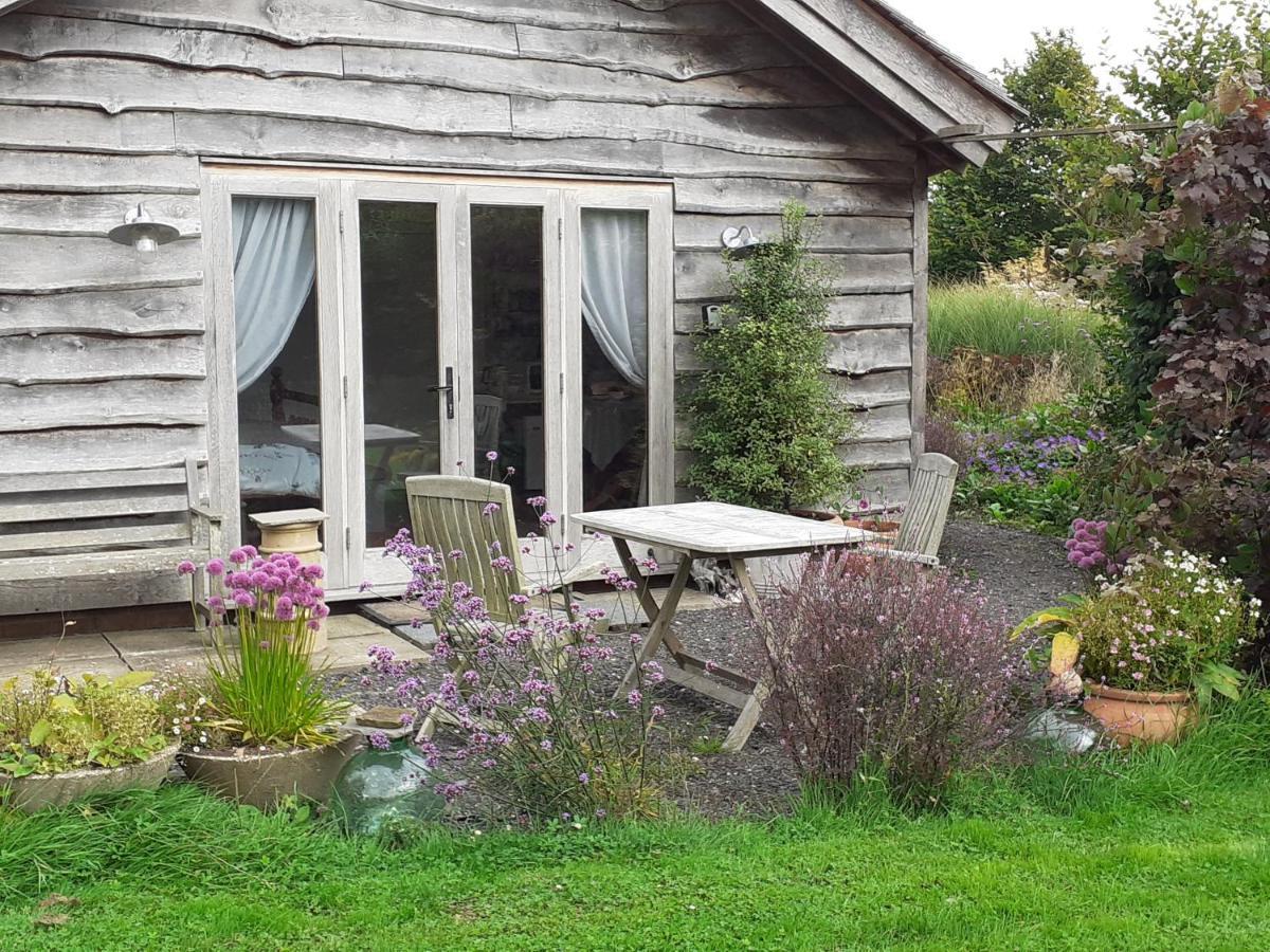 Three Oaks Nursery Chichester Exterior foto